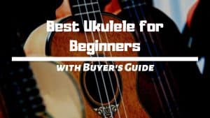 10 Best Beginner Ukuleles | Review 2021 [with Buyer's Guide]