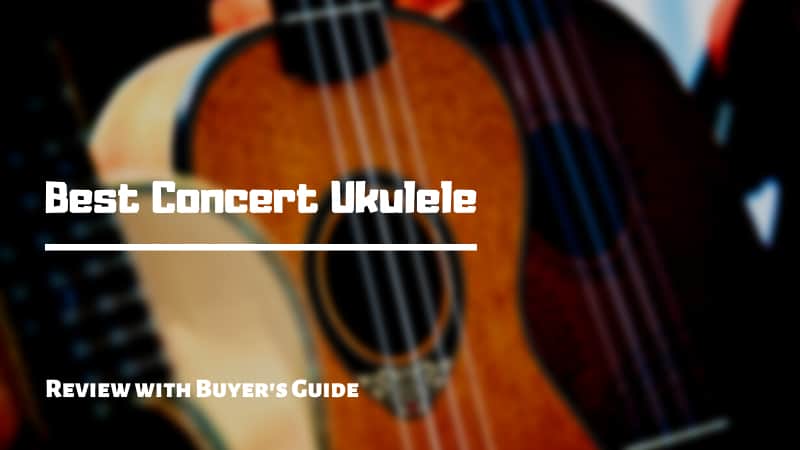 Best Concert Ukulele Review