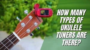 How Many Types Of Ukulele Tuners Are There?