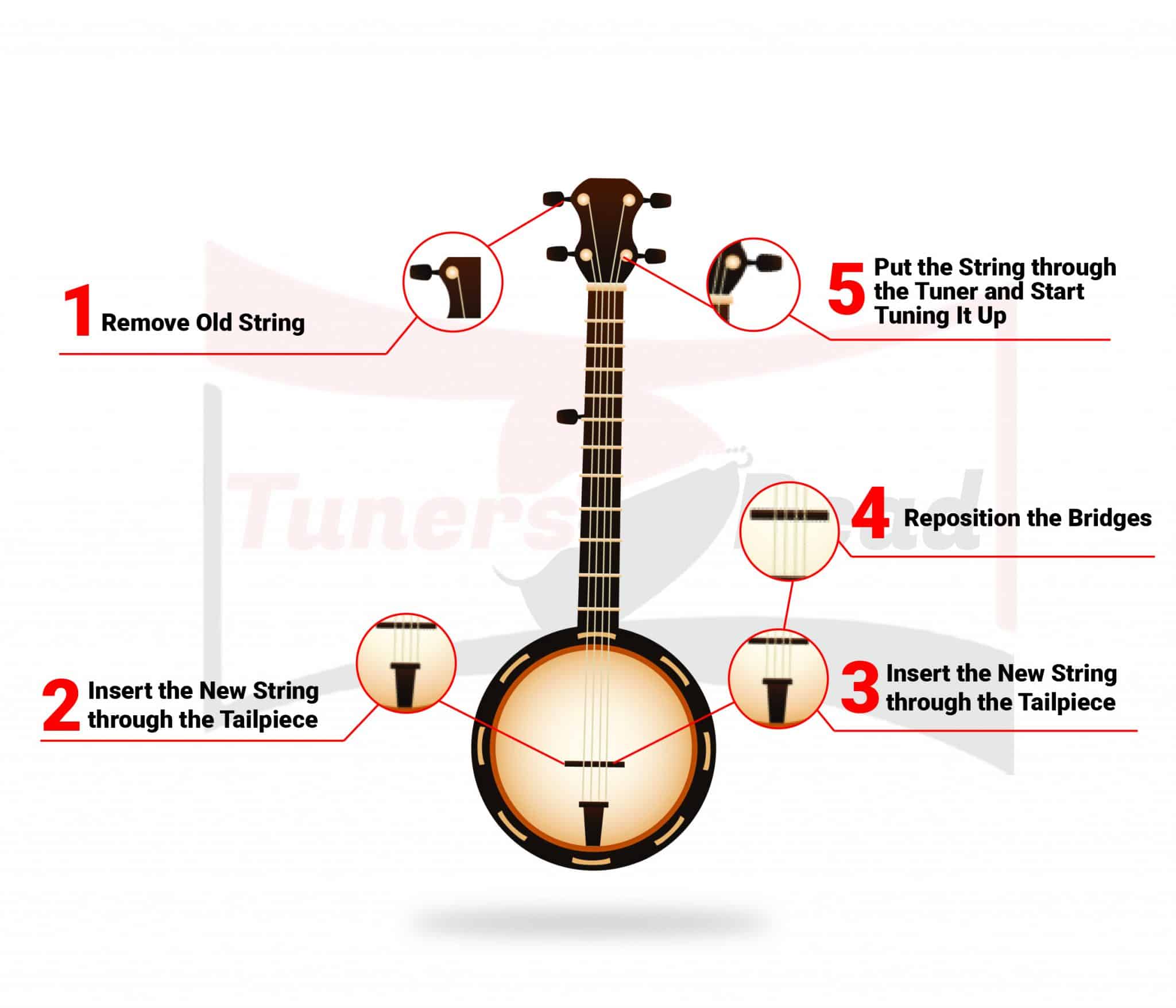 How To Restring A Banjo Effortlessly? TunersRead