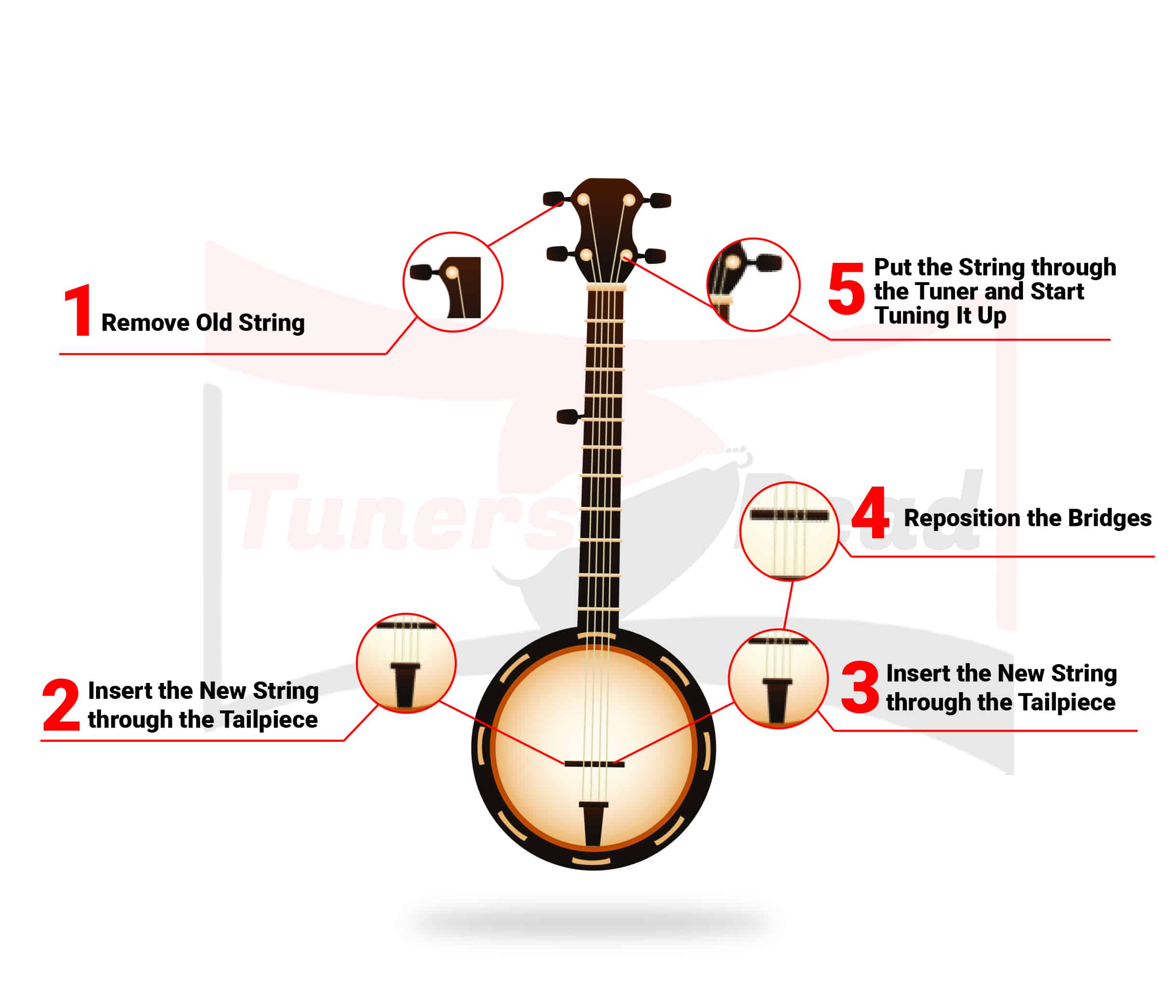 How to Restring a Banjo Infographic