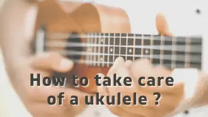 Ukulele Care 101: How to Take Care of a Ukulele?