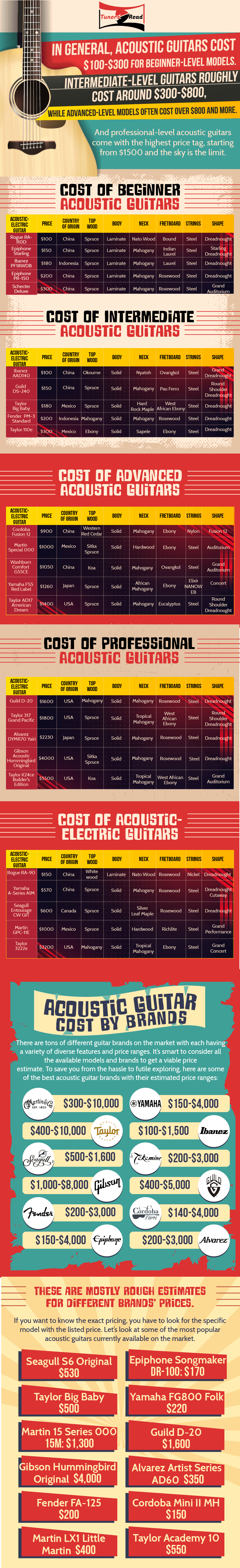 acoustic guitar cost infographic