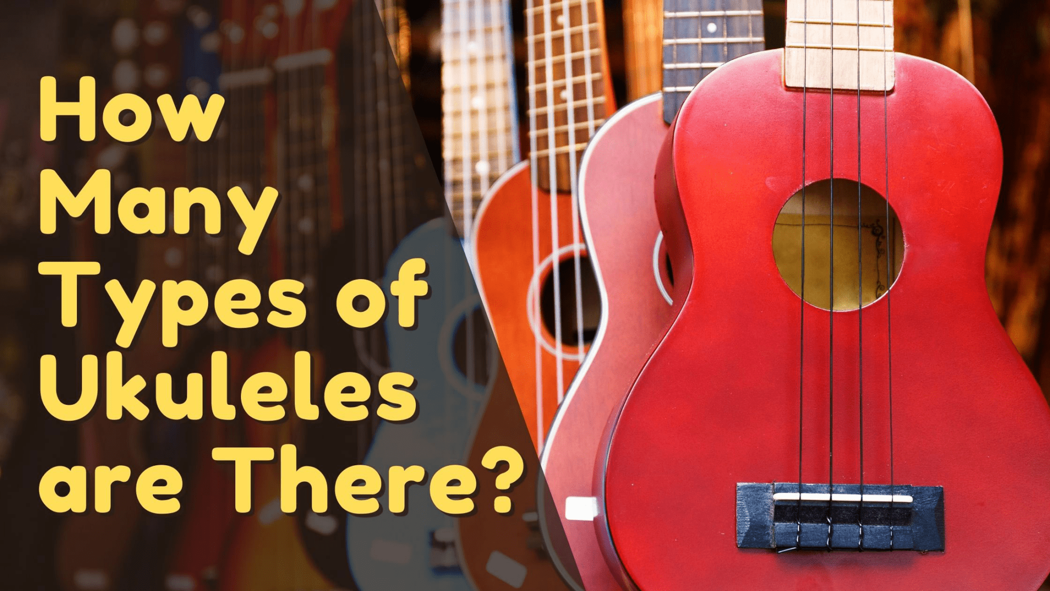 How Many Types Of Ukulele Are There? [Complete List] | TunersRead